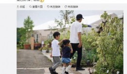 爆料娱乐圈强哥,揭秘幕后风云与权力游戏