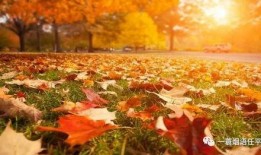 秋天妈妈最新的爆料文案,最新爆料文案大曝光！